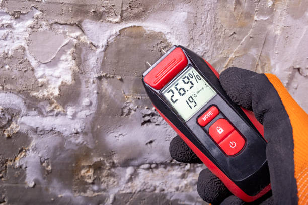 Best Preventive Mold Services in Hamilton, TX