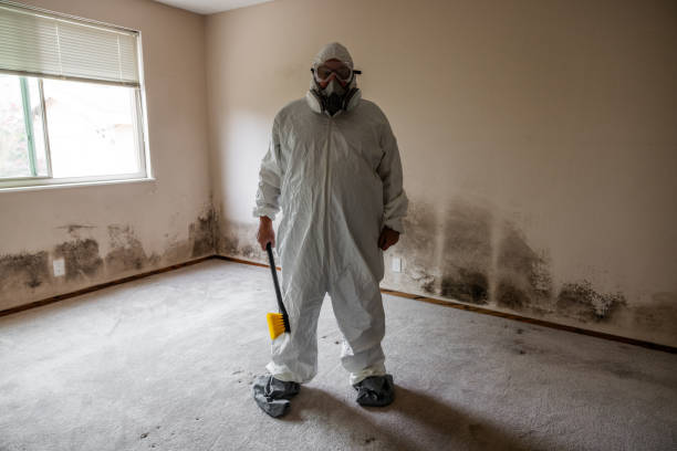 Best Residential Mold Remediation in Hamilton, TX